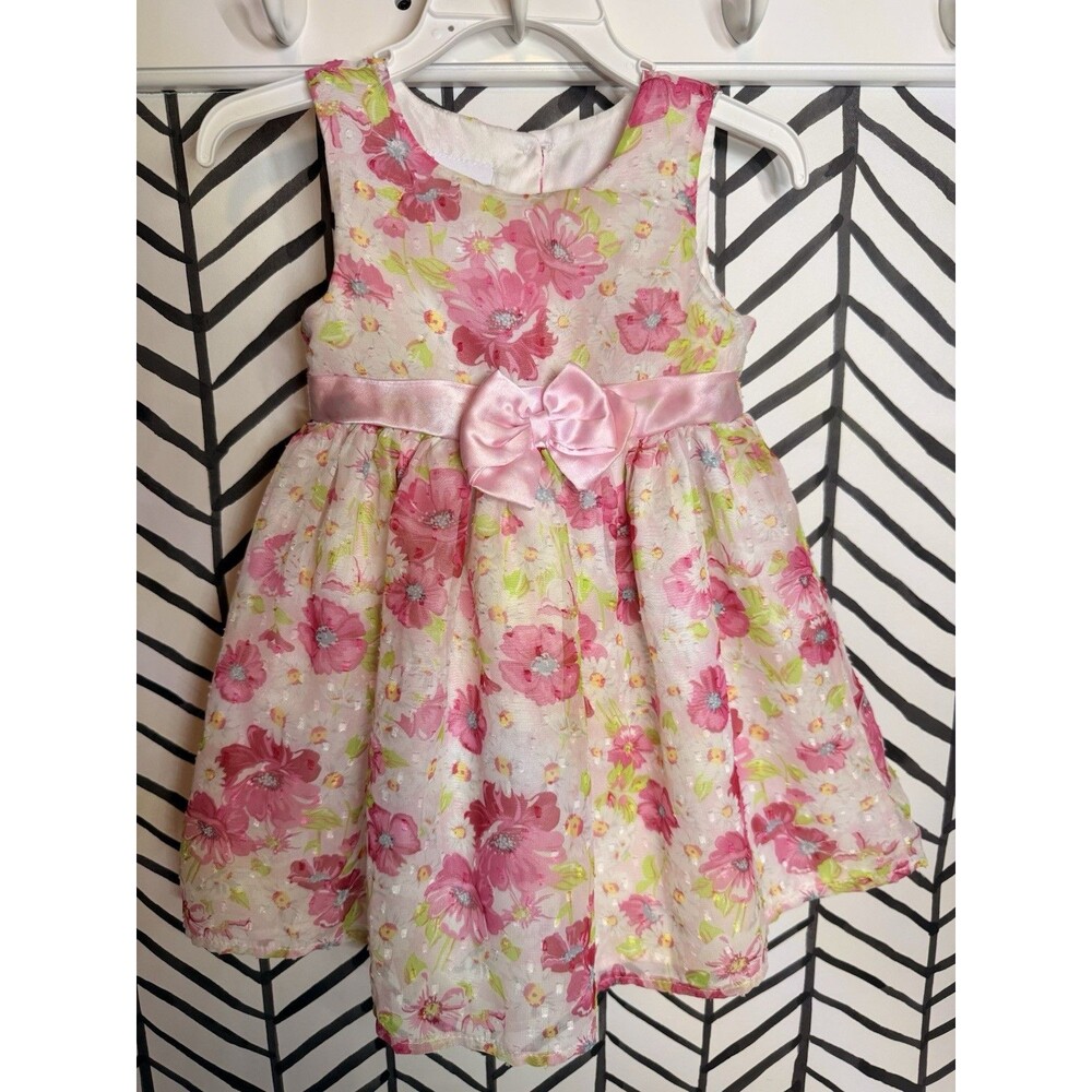 Nanette Baby Pink Green Floral Formal Dress Baby Girls 18M 5000